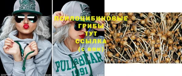 первитин Михайлов