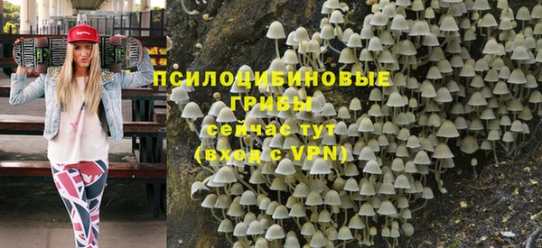 трава Михайловск