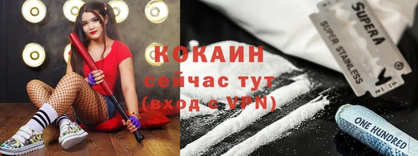 первитин Михайлов