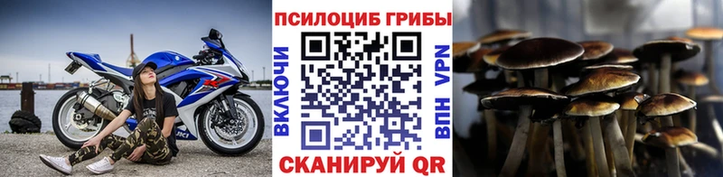Псилоцибиновые грибы Magic Shrooms  Сусуман 